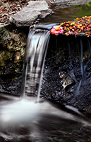 Small waterfall with colorful leaves.